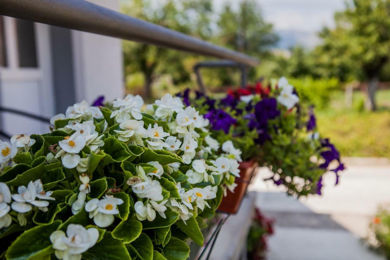 Apartments Heaven Cetinje Exterior foto